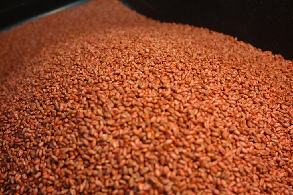 Seed coating Norogard